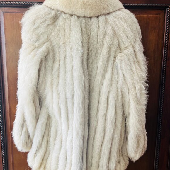 Saga Blue Fox - Picture 3 of 3